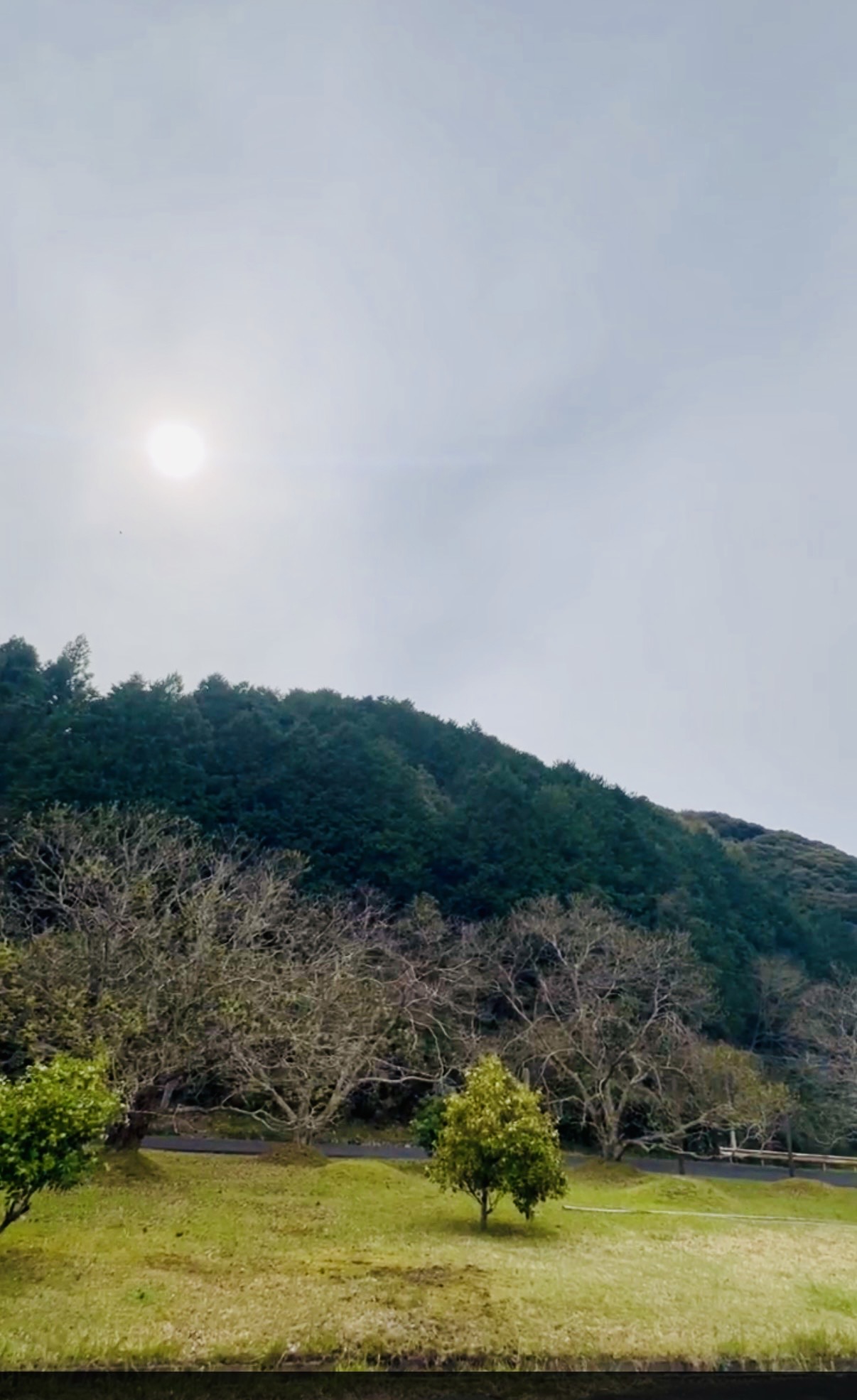 山口県の山の自然環境