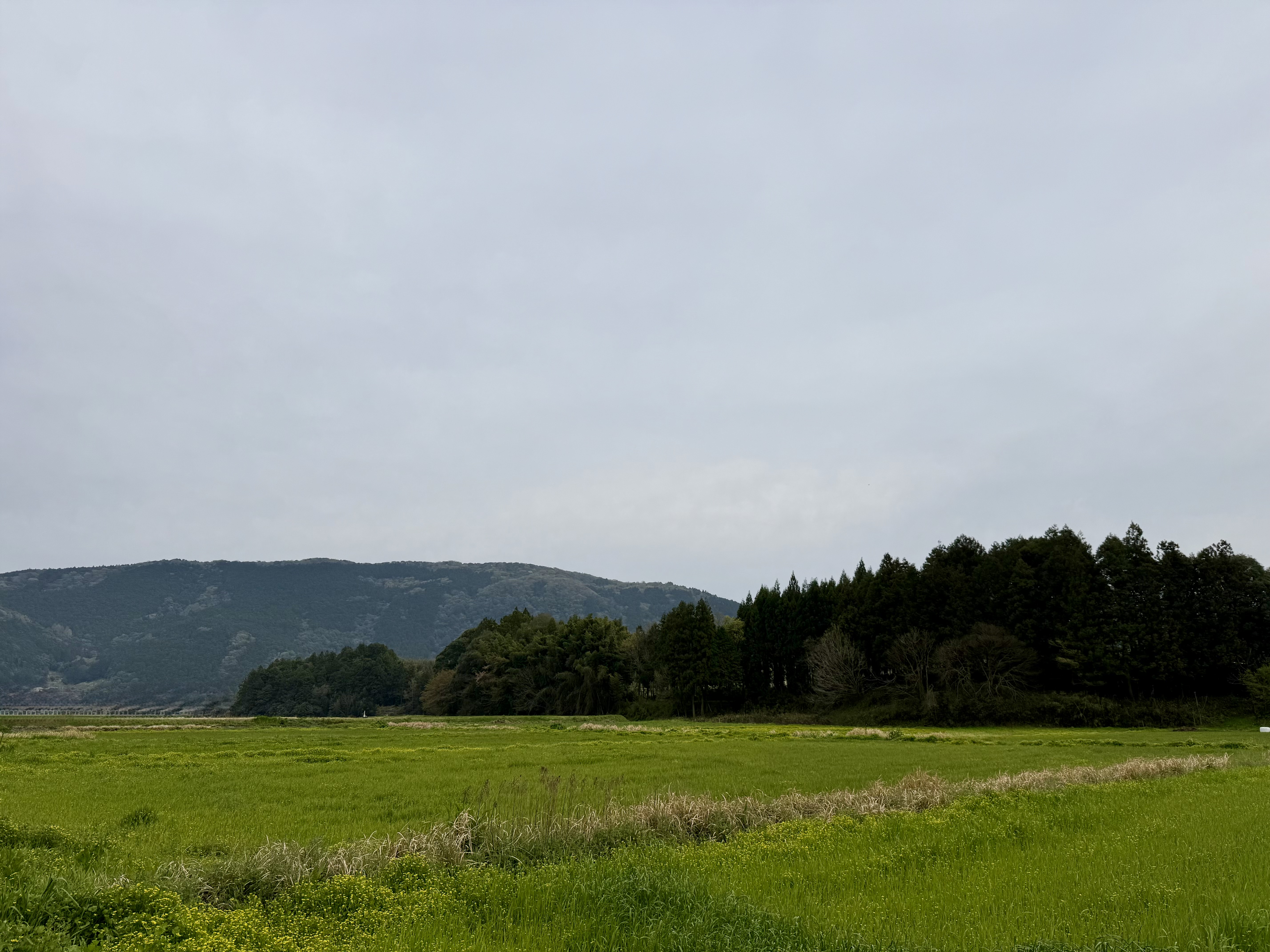 山口県の自然環境の風景