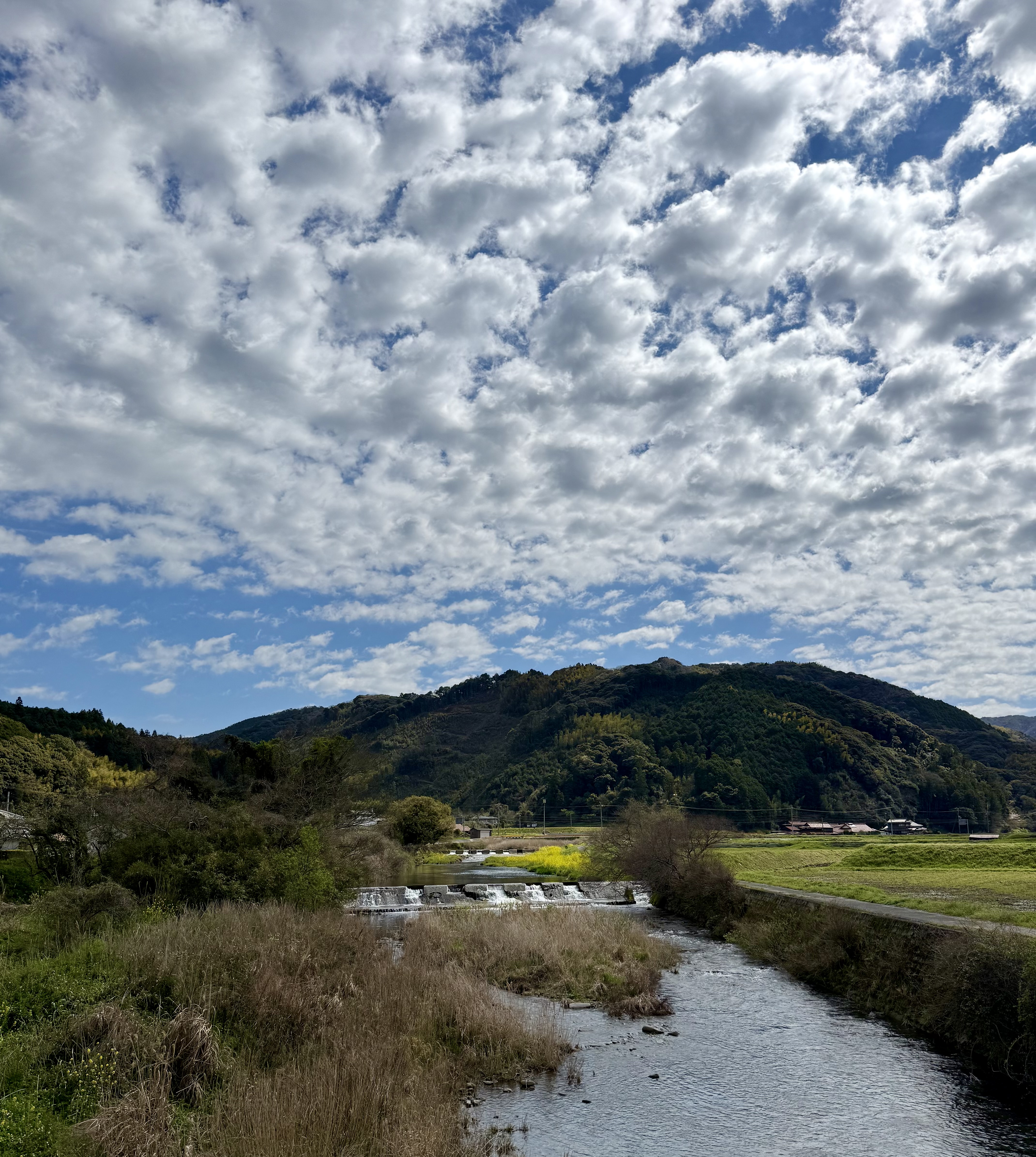 山口県の神楽に関するの風景