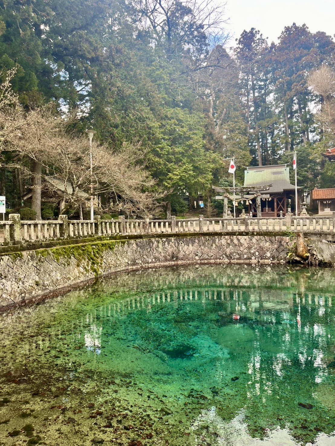 山口県の秋吉台に関するの風景